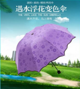 遇水開花晴雨傘